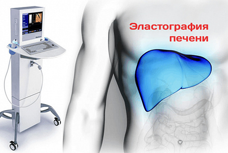 Эластография печени